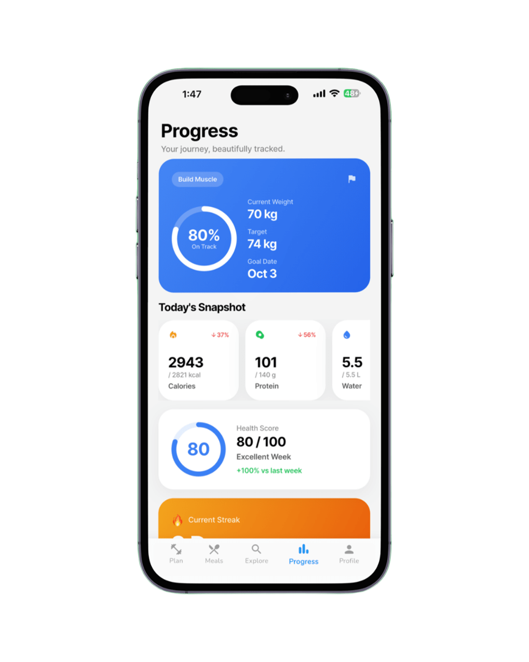 HealFit progress dashboard